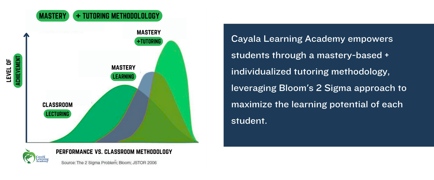 Cayala Learning Academy Academics